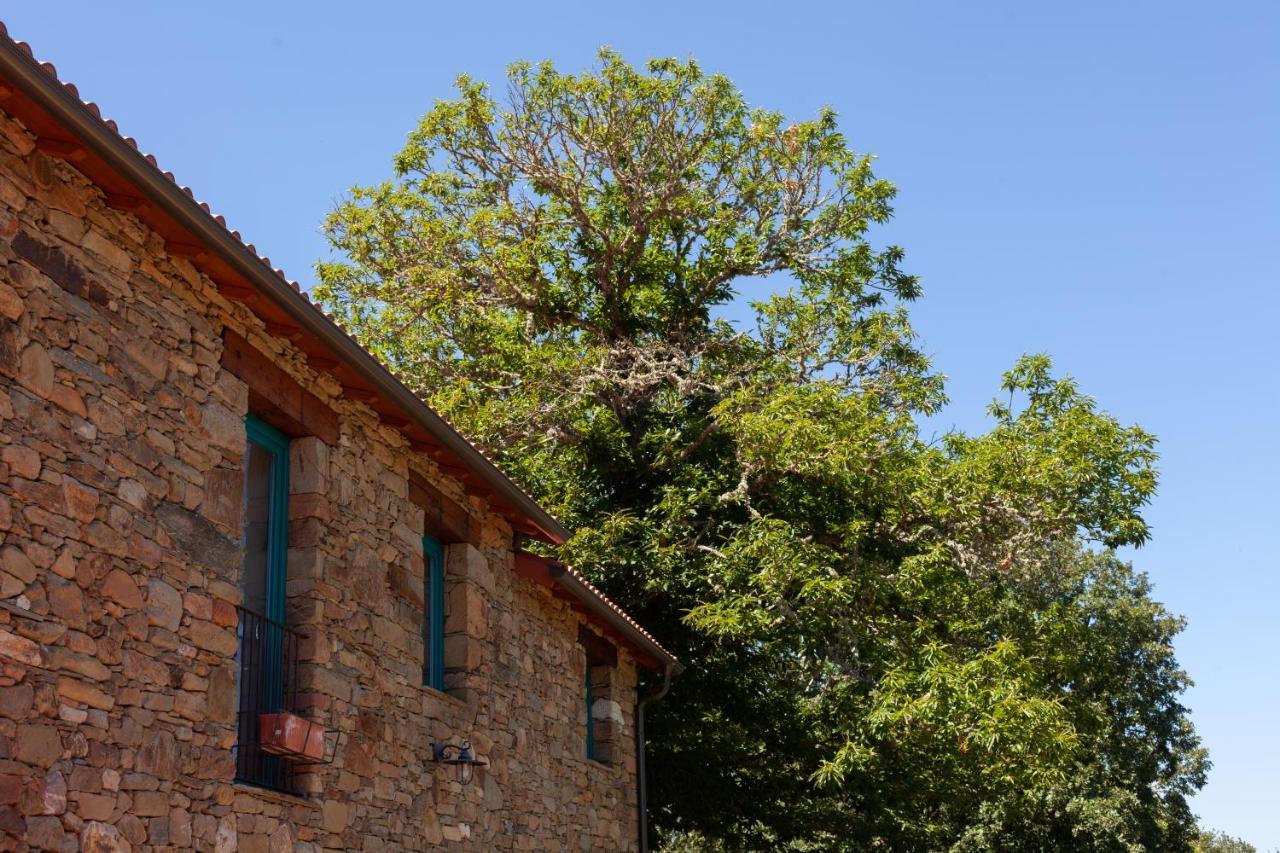 Гостьовий будинок Casa Terra Alma Laza Екстер'єр фото